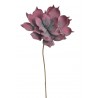Piankowiec x1 65cm - sztuczna roślina