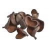 Badam Nut natural 10 cm - paczka/10 szt - susz dekoracyjny