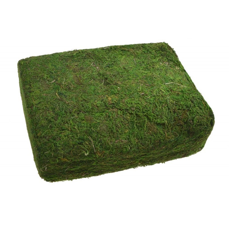 Mech dekoracyjny 12x20x35 cm - 1kg