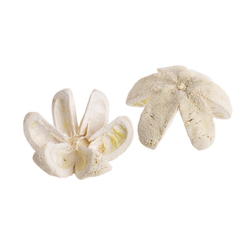 Wild orange wybielany 10szt-pacz..6-7cm - susz dekoracyjny