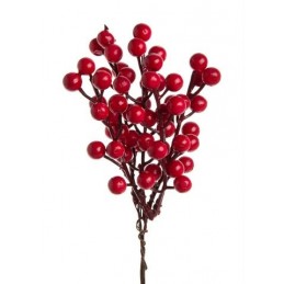 Pik głóg 5szt/pęczek..19cm