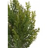 Tuja 40cm - sztuczna roślina
