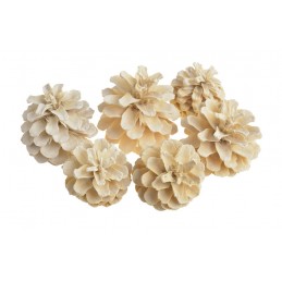 Pine fruit wyb - paczka 6szt..7-8cm