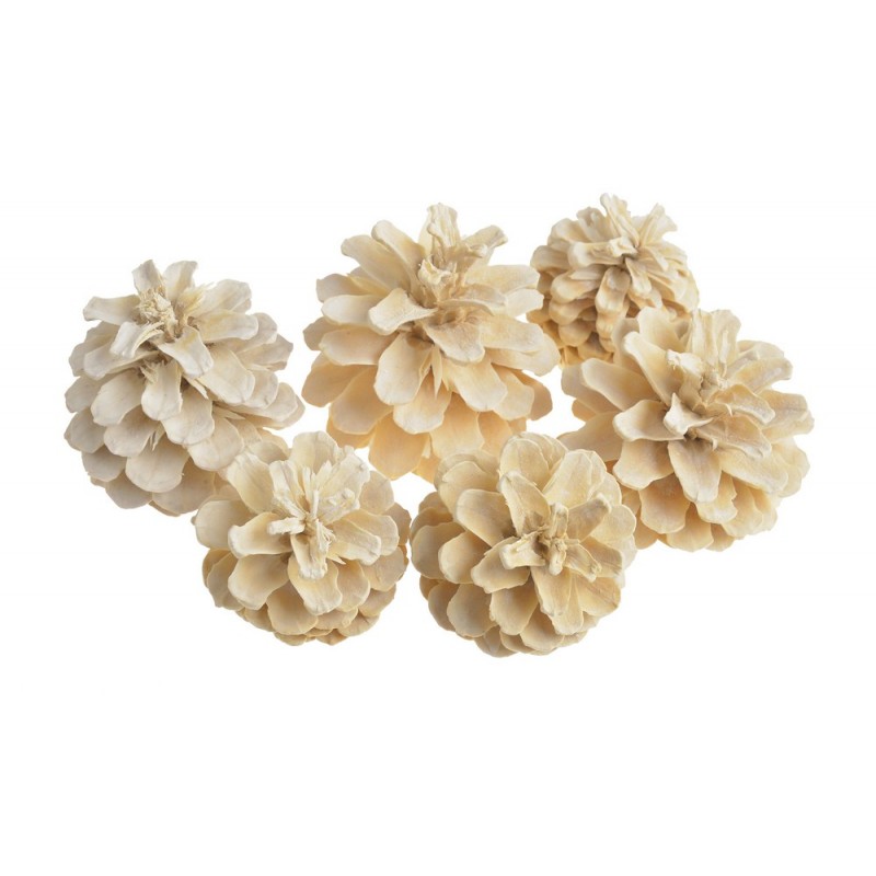 Pine fruit wyb - paczka 6szt..7-8cm