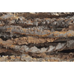 Muruku stick thick L100 -110 cm F1- 4 cm Gruby