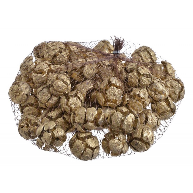 CYPRYS Cypressus 300g..2-4cm - GOLD