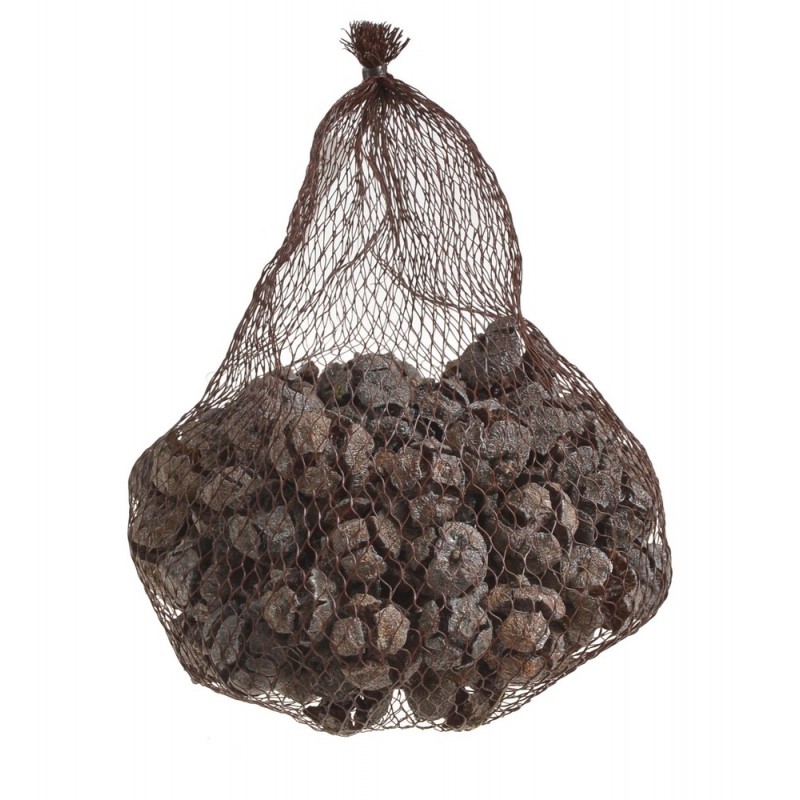 CYPRYS Cypressus 300g..2-4cm - SILVER