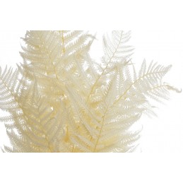 Liść paproci 10szt-paczka - susz preparowany..45-50cm