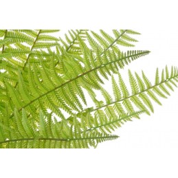 Paproć 54cm - sztuczna roślina