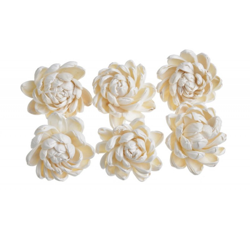 Shola ninza flower 6 cm, 6szt-pacz..6cm