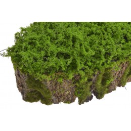 Omszała kora..30cmLx11cmWx11cmH..36-0 pcs......GREEN