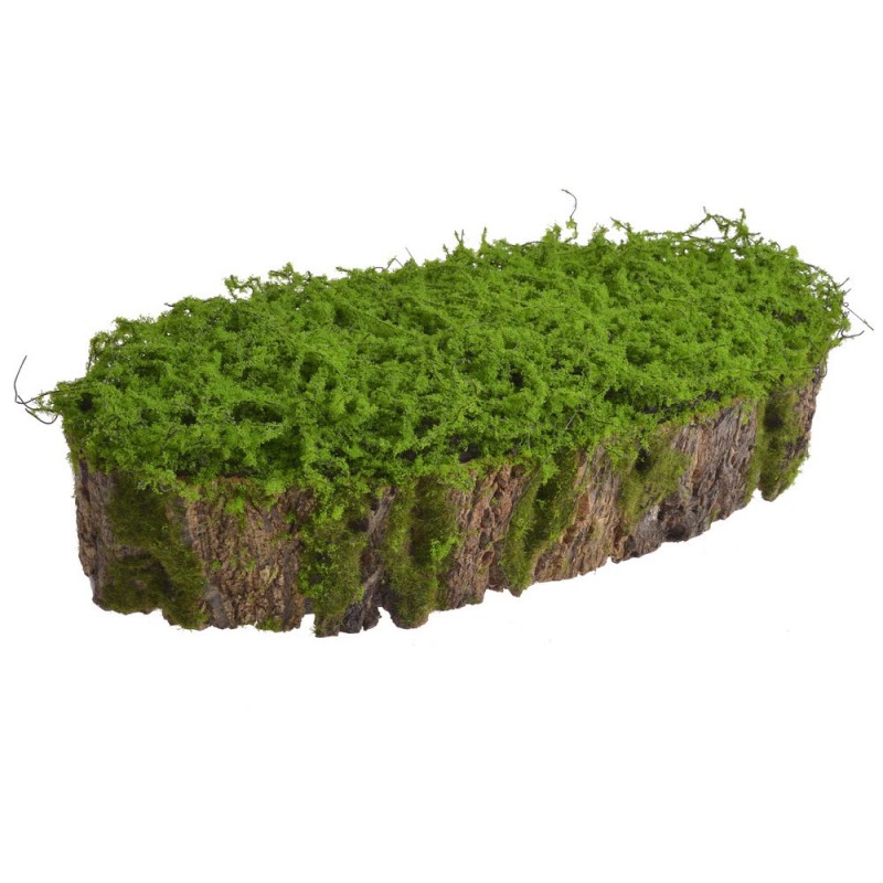 Omszała kora..50cmLx20cmWx12cmH s...GREEN