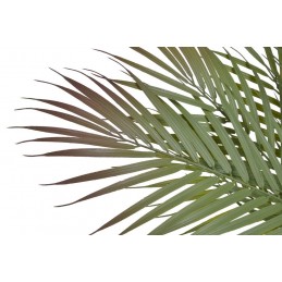 Palma..59cm - sztuczna roślina..216-36 pcs