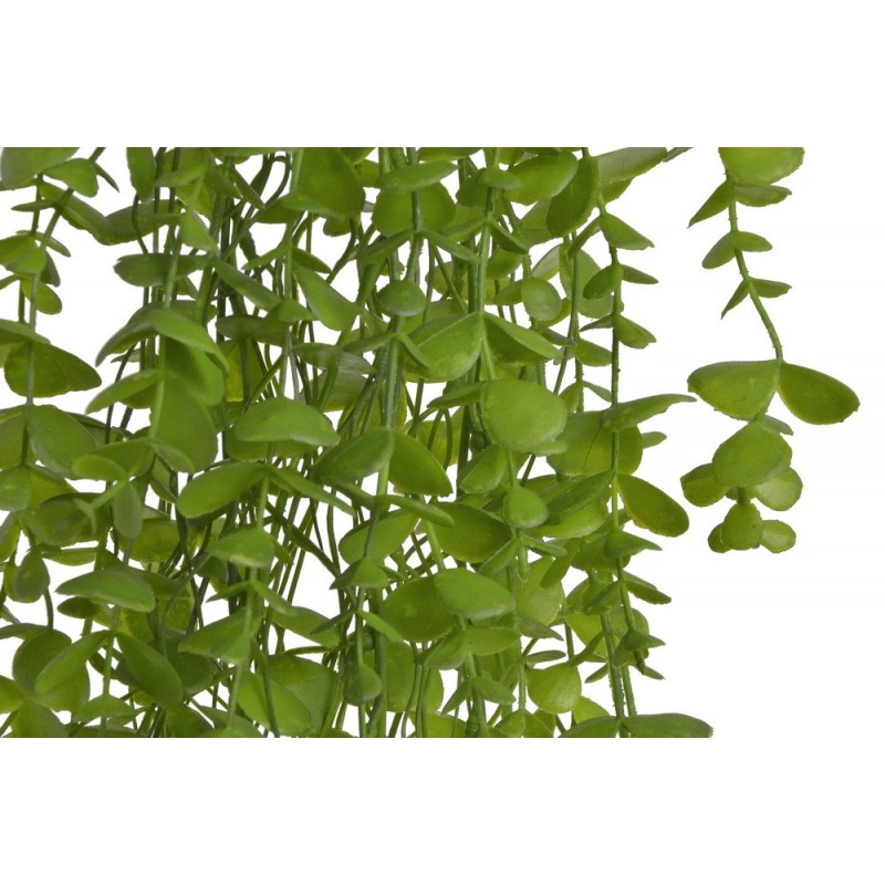 Eukaliptus zwisający..94cm... APPLE GREEN