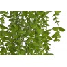 Eukaliptus zwisający..94cm... APPLE GREEN