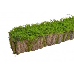 Omszała kora..70cmLx11cmWx11cmH...GREEN