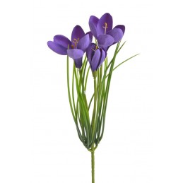 Krokus 2+1..30cm..192-24 pcs......04 PURPLE
