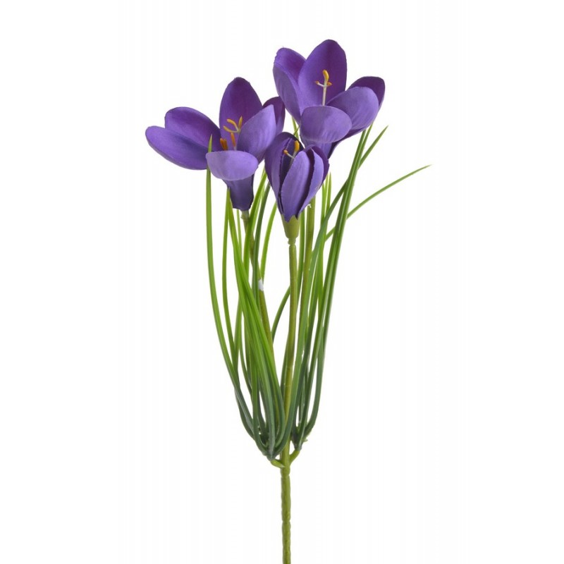 Krokus 2+1..30cm..192-24 pcs......04 PURPLE