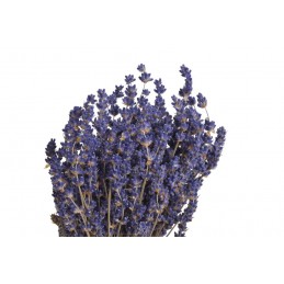 Lavenda short (FR) - suszony kwiat...30cm...66g....LAVENDAR