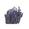 Lavenda short (FR) - suszony kwiat...30cm...66g....LAVENDAR