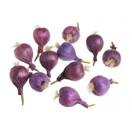Cebula 12szt-paczka..6cm..384....08 PURPLE - art. dekoracyjny