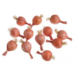 Cebula 12szt-paczka..6cm...02 ORANGE - art. dekoracyjny
