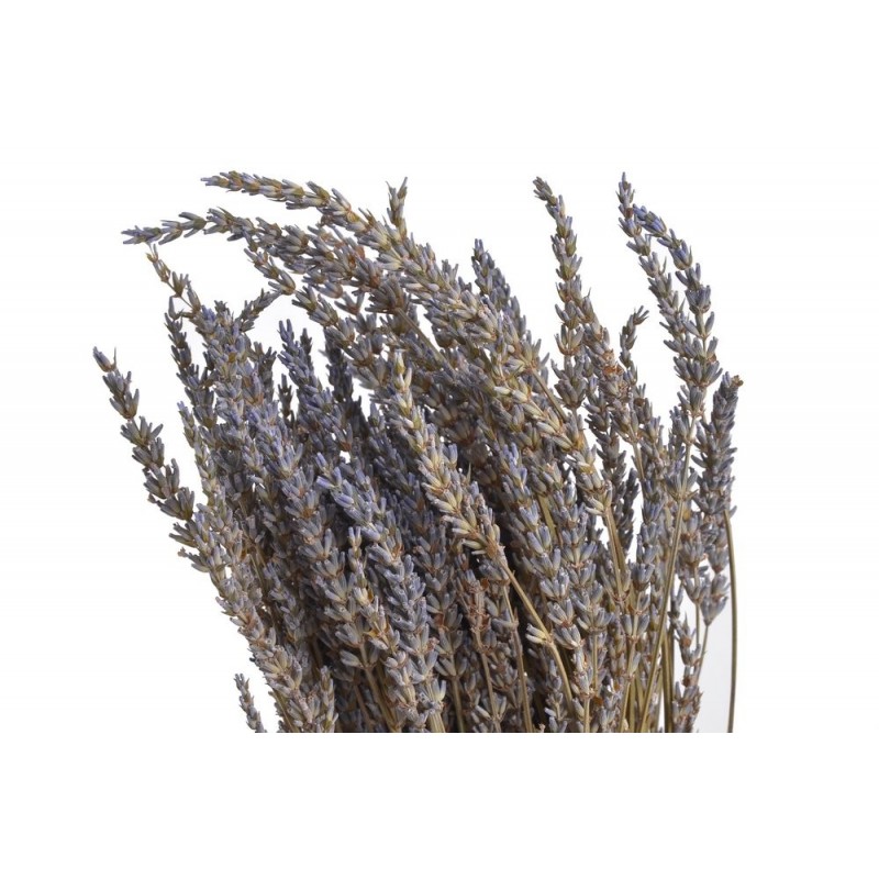 Lavenda long - suszony kwiat...55cm..15-1 bags..95g-bag....LAVENDAR