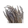 Lavenda long - suszony kwiat...55cm..15-1 bags..95g-bag....LAVENDAR