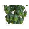 Szyszki chmielu girlanda..72cm - sztuczna roslina...05 GREEN