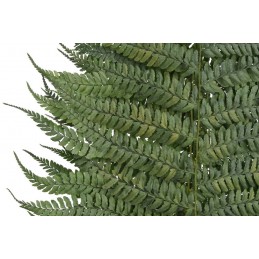 Liść paproci 5szt-pęczek - susz 50-70cm DK. GREEN