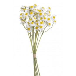 Rumianek 6szt-pęcz...33cm