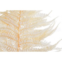 Liść paproci 5szt/pęcz- susz 50-70cm CHAMPAGNE