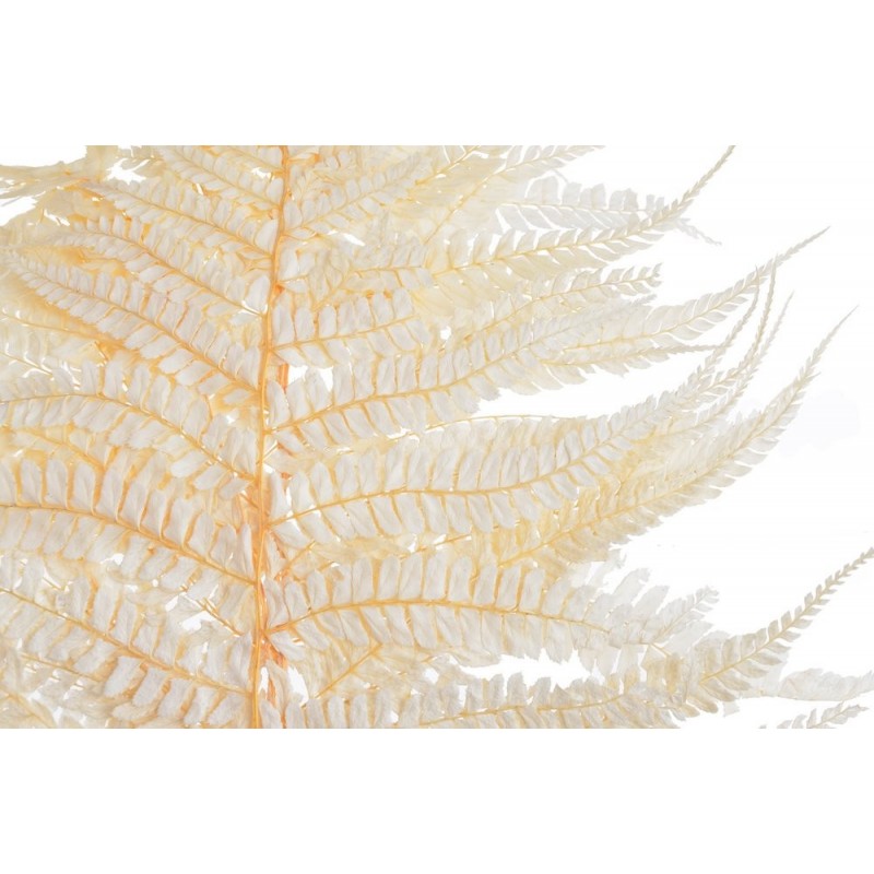 Liść paproci 5szt/pęcz- susz 50-70cm CHAMPAGNE