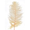 Liść paproci 5szt-pęczek - susz 50-70cm GREEN