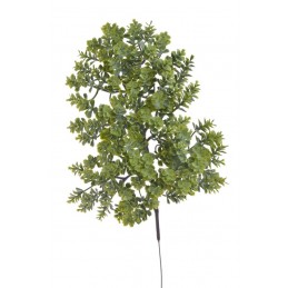 Rozchodnik gałązka ..36cm..240-60 pcs......03 GREEN