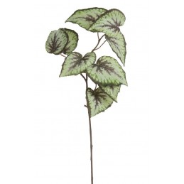 Gałązka begonii 72cm .... GREEN