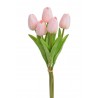 Tulipan piankowy 5szt-pęcz...32cm..240-30 bu..5 pcs-bu
