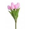Tulipan piankowy 5szt-pęcz...32cm..240-30 bu..5 pcs-bu