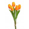 Tulipan piankowy 5szt-pęcz...32cm..240-30 bu..5 pcs-bu