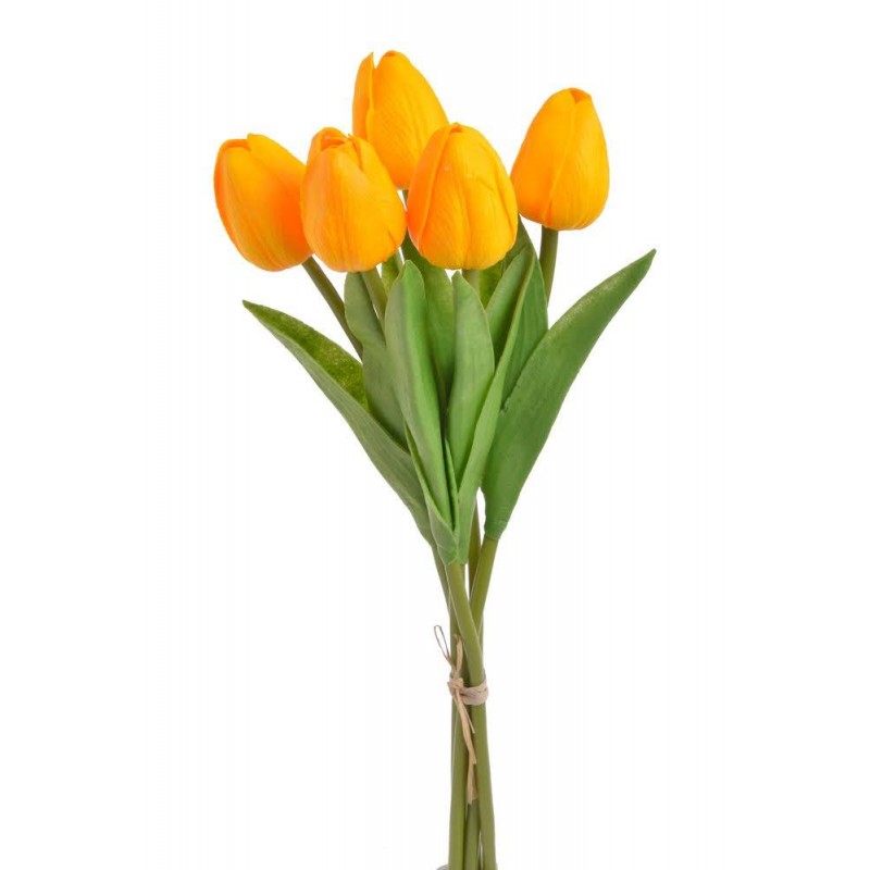 Tulipan piankowy 5szt-pęcz...32cm..240-30 bu..5 pcs-bu