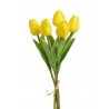Tulipan piankowy 5szt-pęcz...32cm..240-30 bu..5 pcs-bu
