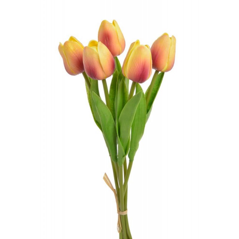 Tulipan piankowy 5szt-pęcz...32cm..240-30 bu..5 pcs-bu