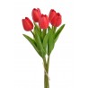 Tulipan piankowy 5szt-pęcz...32cm..240-30 bu..5 pcs-bu