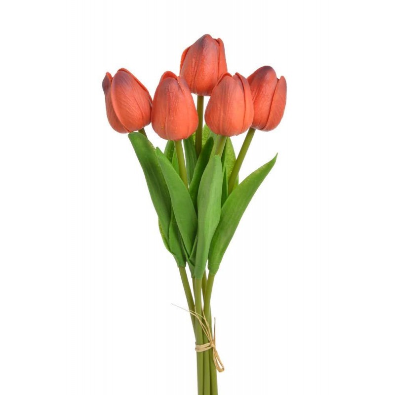Tulipan piankowy 5szt-pęcz...32cm..240-30 bu..5 pcs-bu