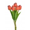 Tulipan piankowy 5szt-pęcz...32cm..240-30 bu..5 pcs-bu