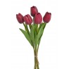 Tulipan piankowy 5szt-pęcz...32cm..240-30 bu..5 pcs-bu