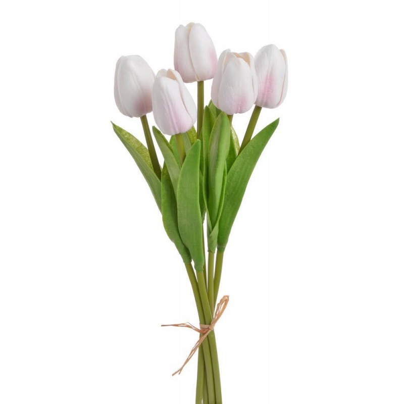 Tulipan piankowy 5szt-pęcz...32cm..240-30 bu..5 pcs-bu