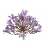 Agapanthus x1 72cm....sztuczna roślina...192-24 pcs