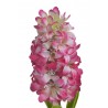 Hiacynt x1..45cm..sztuczna roślina...288-48 pcs