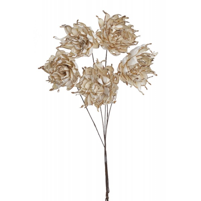 Shola spike flower 6cm+pik, biały, 5szt-pacz -susz..(6cmØ x 4,5cmH) x 30cmH